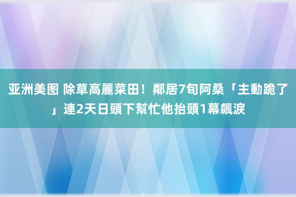 亚洲美图 除草高麗菜田！鄰居7旬阿桑「主動跪了」連2天日頭下幫忙　他抬頭1幕飆淚